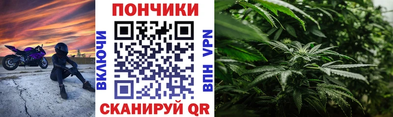 Купить наркоту Дагестанские Огни Гашиш Канабис A-PVP МЕФ kraken маркетплейс Кокаин