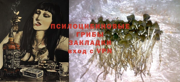 a pvp Белокуриха