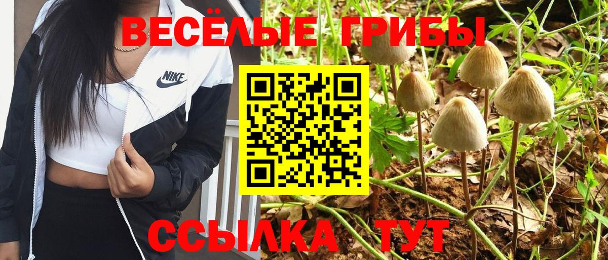 Псилоцибиновые грибы Magic Shrooms  Галлюциногенные грибы ЛСД  Вход с VPN  Дагестанские Огни 