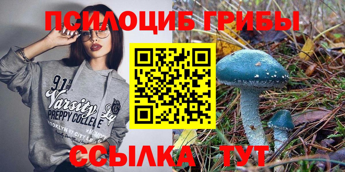 Псилоцибиновые грибы мицелий  Дагестанские Огни  сколько стоит  Галлюциногенные грибы прущие грибы 